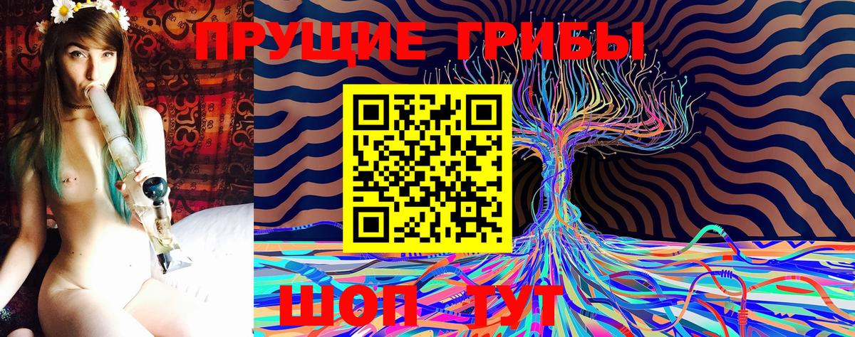 Псилоцибиновые грибы MAGIC MUSHROOMS  продажа наркотиков  Зима  Псилоцибиновые грибы Magic Shrooms  Вход с VPN 